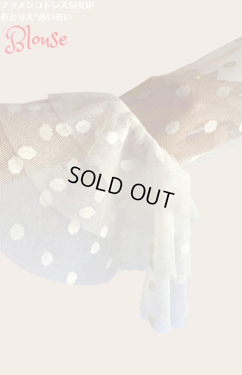 画像4: チュールレース生地ブラウス (4)