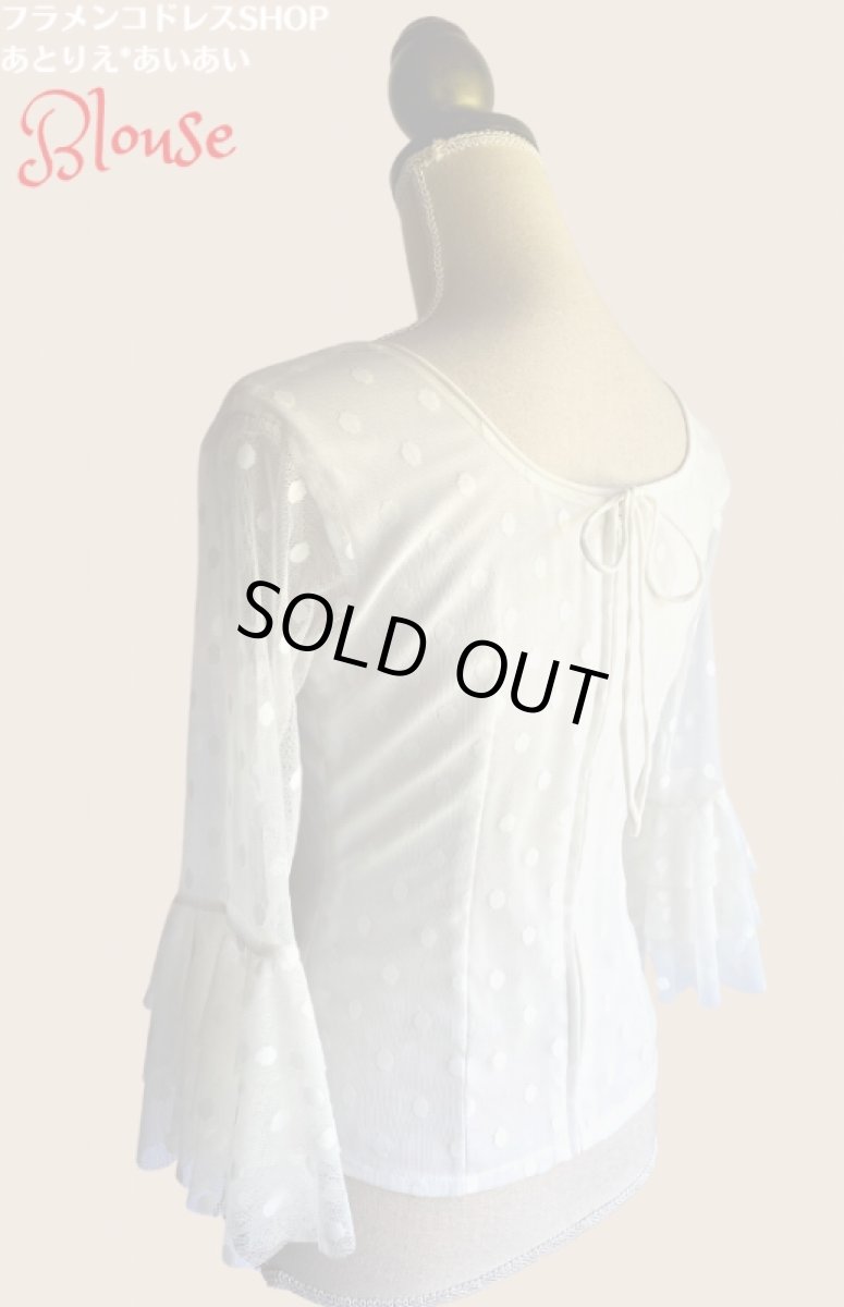 画像5: チュールレース生地ブラウス (5)