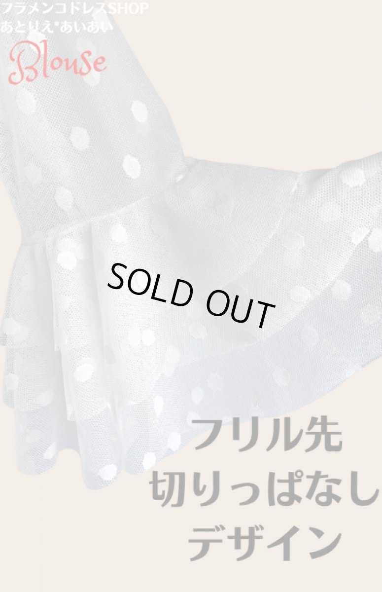 画像3: チュールレース生地ブラウス (3)