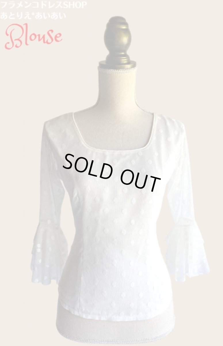 画像2: チュールレース生地ブラウス (2)