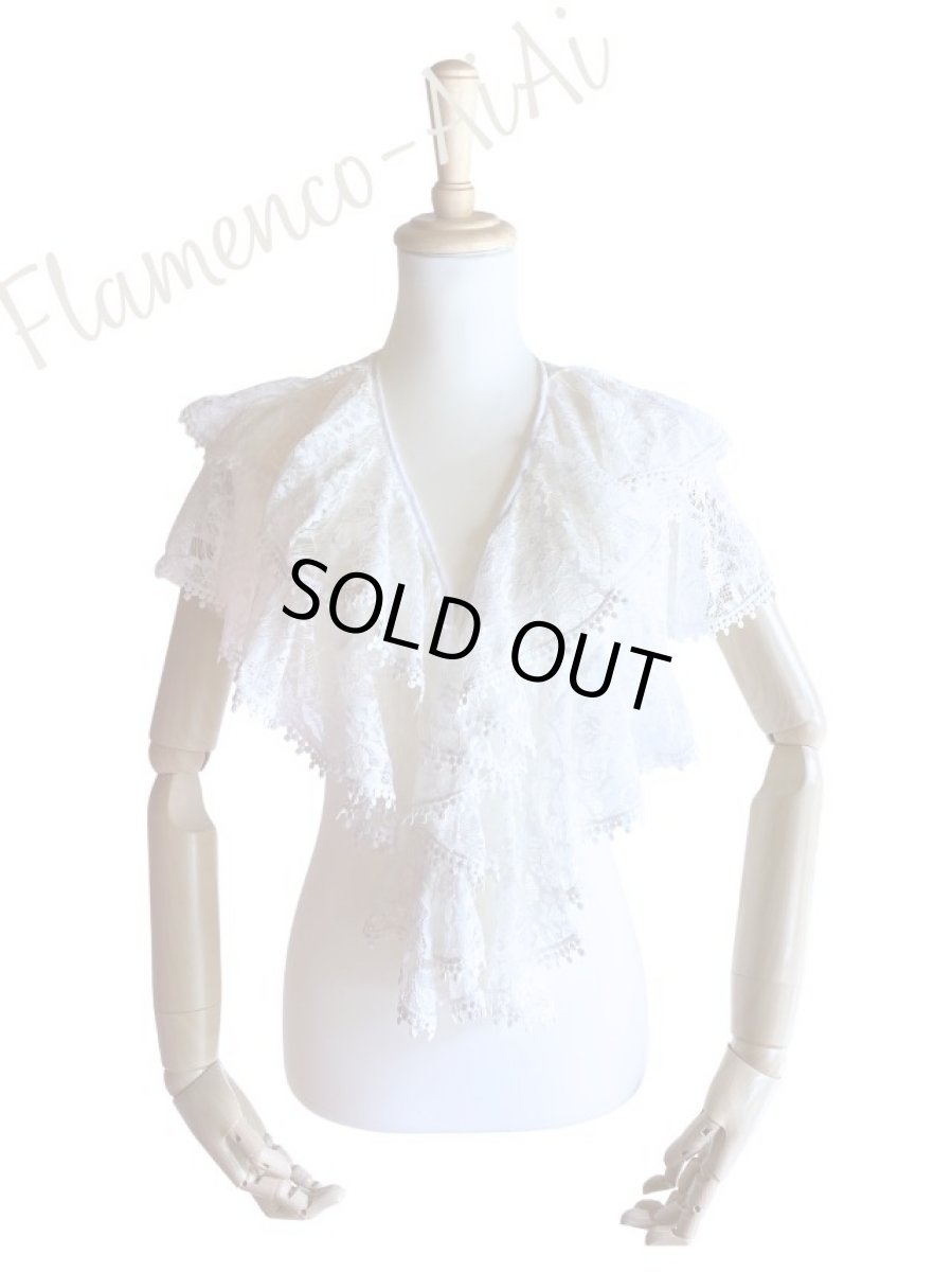 画像1: 《即納品》ボランテ・シージョ (1)