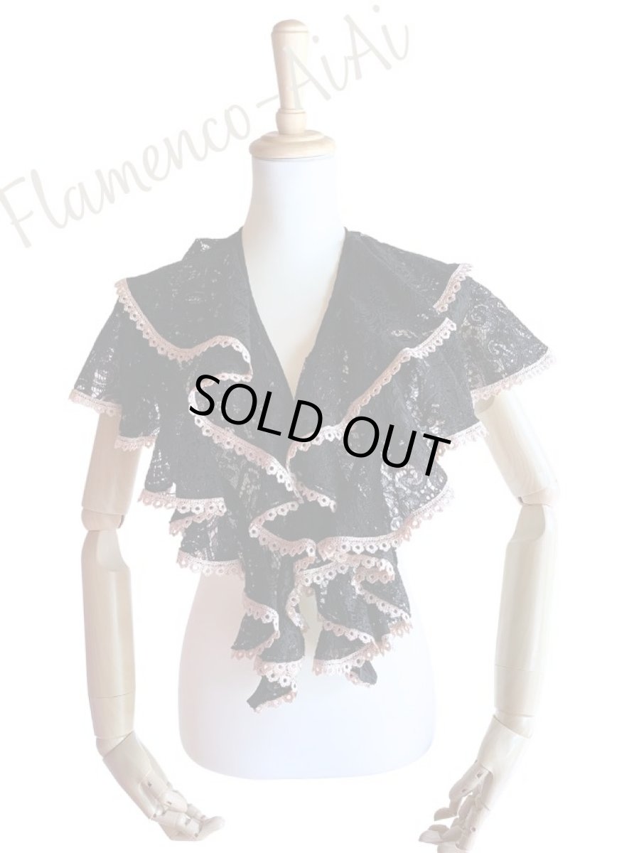 画像1: 《即納品》ボランテ・シージョ、レース生地 (1)