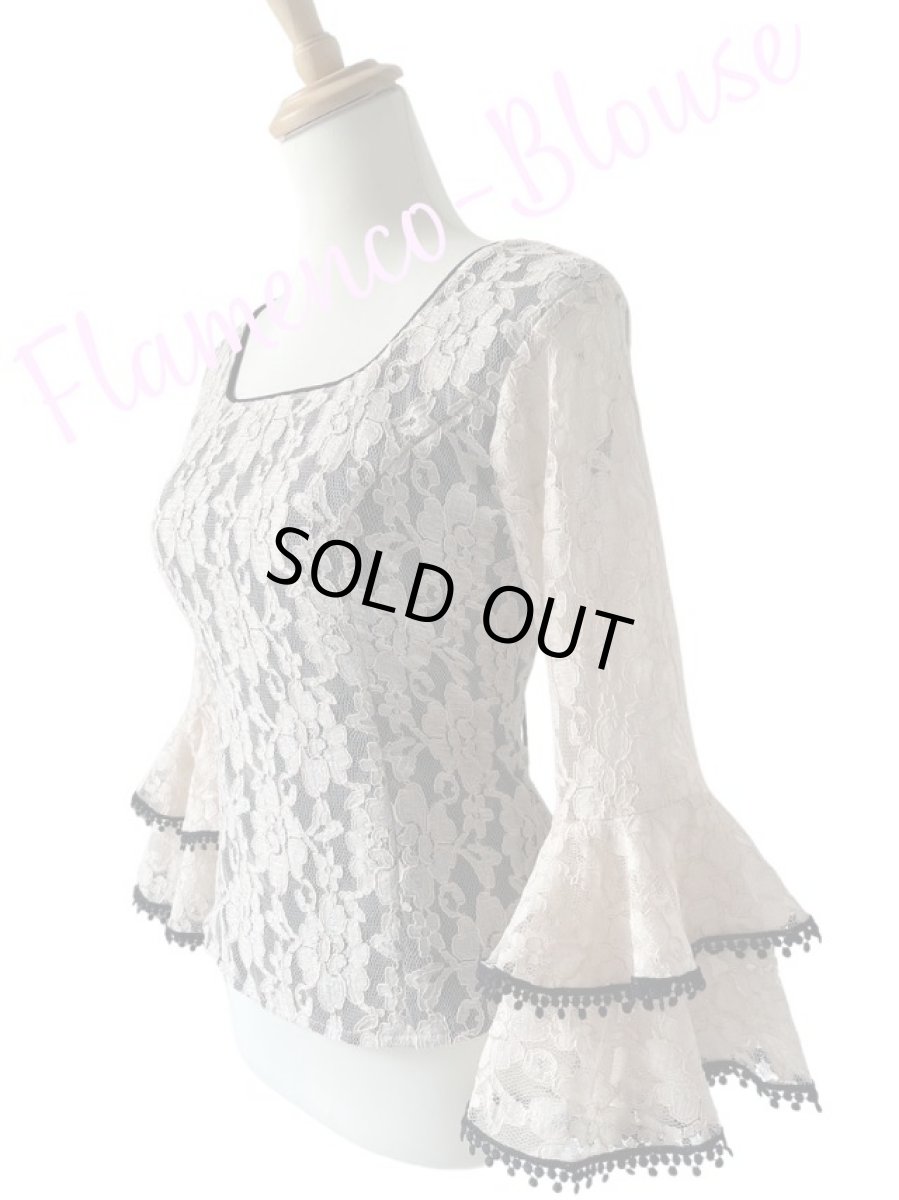 画像1: SALE《即納品》ベージュレース生地、Mサイズ (1)