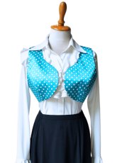 画像1: 一掃SALE《即納品》チャレコ、リバーシブル (1)