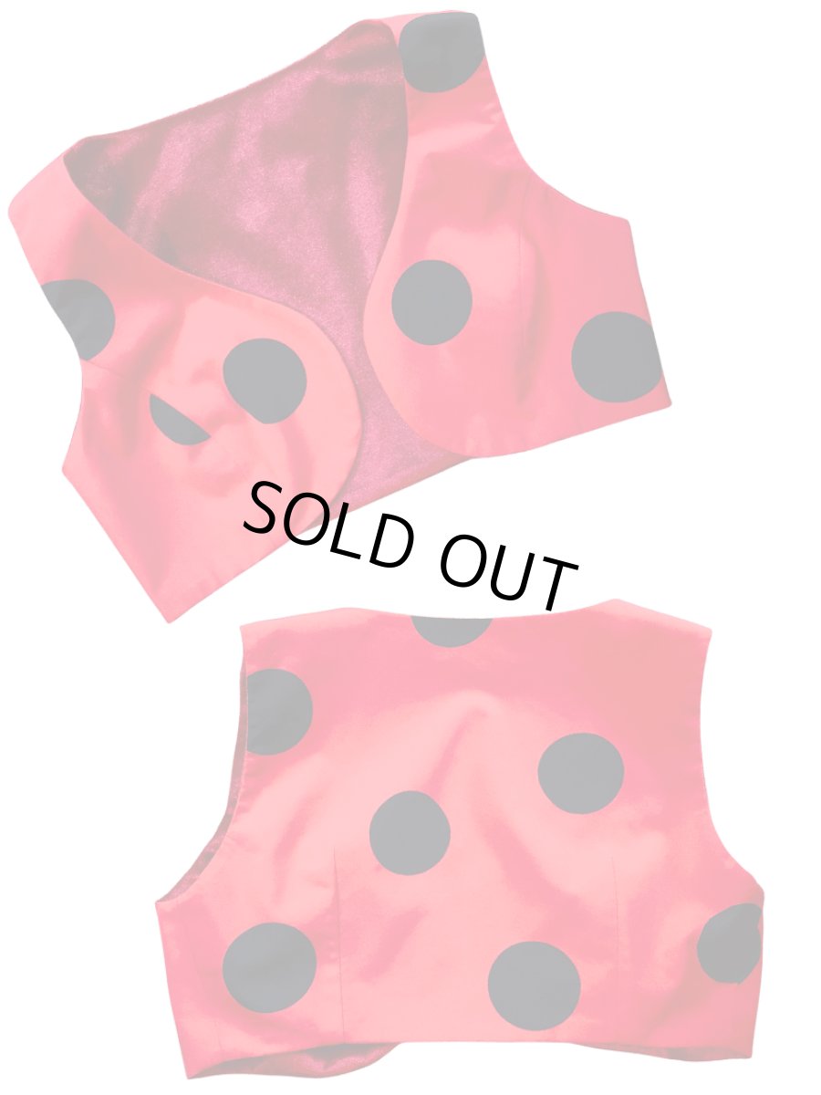 画像1: 《即納品》チャレコ、リバーシブル (1)