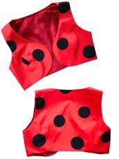 画像1: 《即納品》チャレコ、リバーシブル (1)