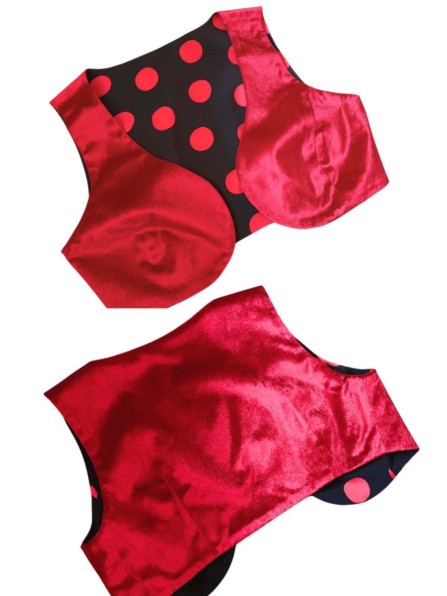 画像2: チャレコ、リバーシブル (2)