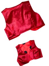 画像2: 《即納品》チャレコ、リバーシブル (2)