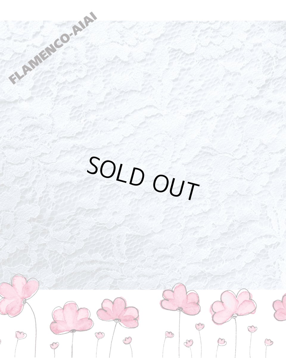 画像4: 在庫一掃SALE●ペチコート、総レース、2段フリル、W66cm 丈：92cm (4)