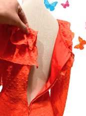 画像4: フロントフリル、オレンジ (4)