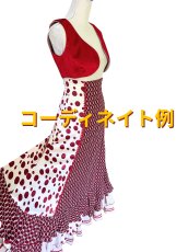 画像2: 〈即納品〉チャレコ、ベロア生地レッド (2)